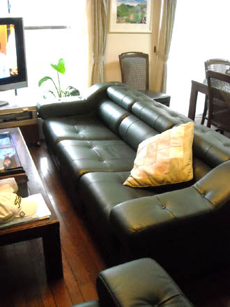 sofa_leather11